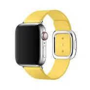 Modern Buckle Leather