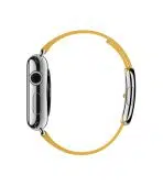 Modern Buckle Apple Watch - Image 2
