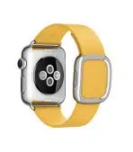 Modern Buckle Apple Watch - Image 3