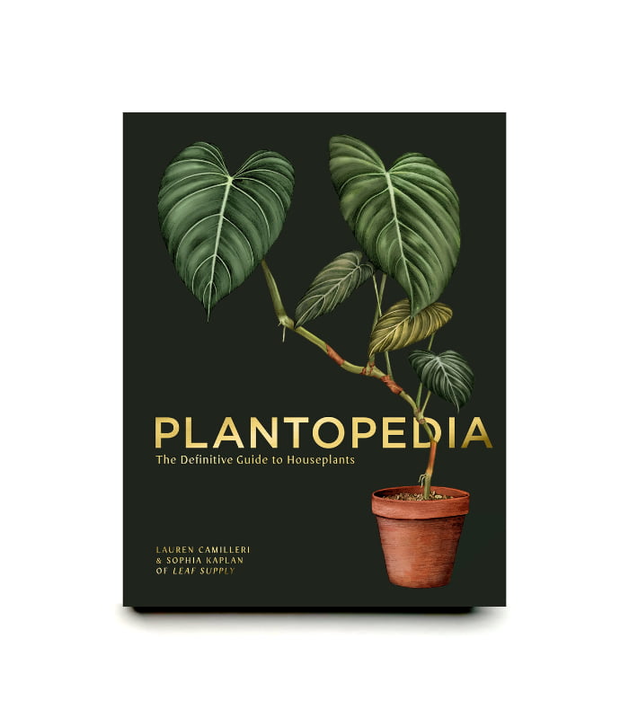 bk2-nonfiction-product-7 Plantopedia The Definitive Guide to Houseplants - Image 1
