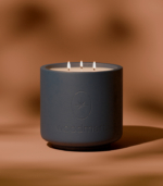 Citrus Fiord Candle – Concrete - Image 4