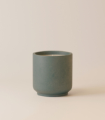 Floral Everglade Candle – Concrete