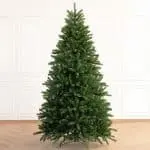 Christmas Tree - Ontario premium