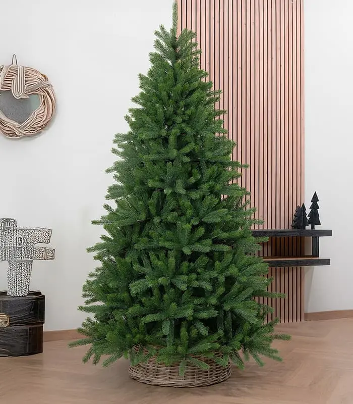 Christmas Tree - Ontario premium - Image 4
