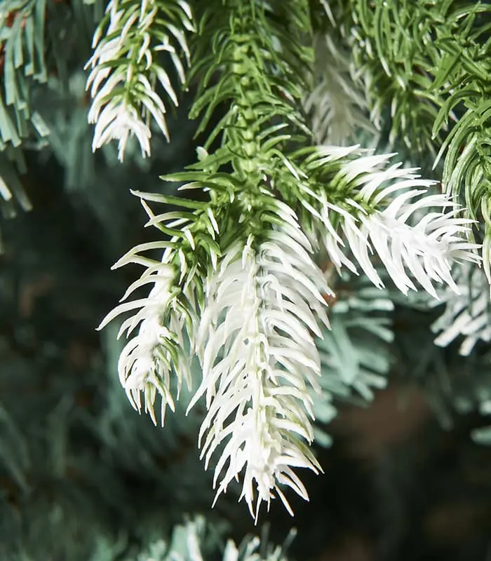 Evergreen Snow Flocked Tip Christmas Tree - Image 3