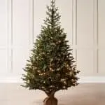 Norway Christmas Tree