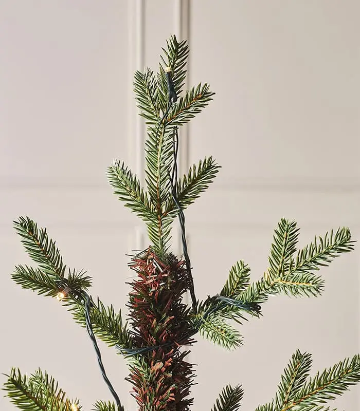 Norway Christmas Tree - Image 3