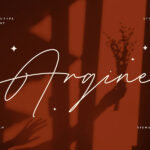 Argine Elegant Signature Font