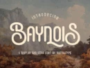Baynois Vintage Monoline Font