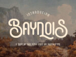 Baynois Vintage Monoline Font