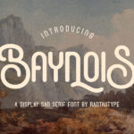 Baynois Vintage Monoline Font