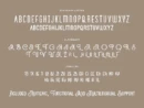 Baynois Vintage Monoline Font - Image 5