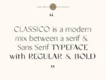 Classico - Serif Font - Image 2