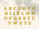 Regards - Modern Retro Serif - Image 4