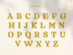 Regards - Modern Retro Serif - Image 4
