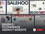 Salehoo - Ecommerce Agency Website