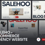 Salehoo - Ecommerce Agency Website