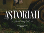 Vamour - Elegant Serif - Image 5