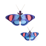 Deluxe Peacock Butterflies