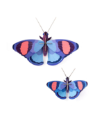 Deluxe Peacock Butterflies