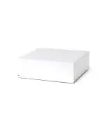 Pro-Ject Amp Box DS2