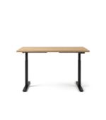 Oak Standing Desk