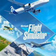 Microsoft Flight Simulator