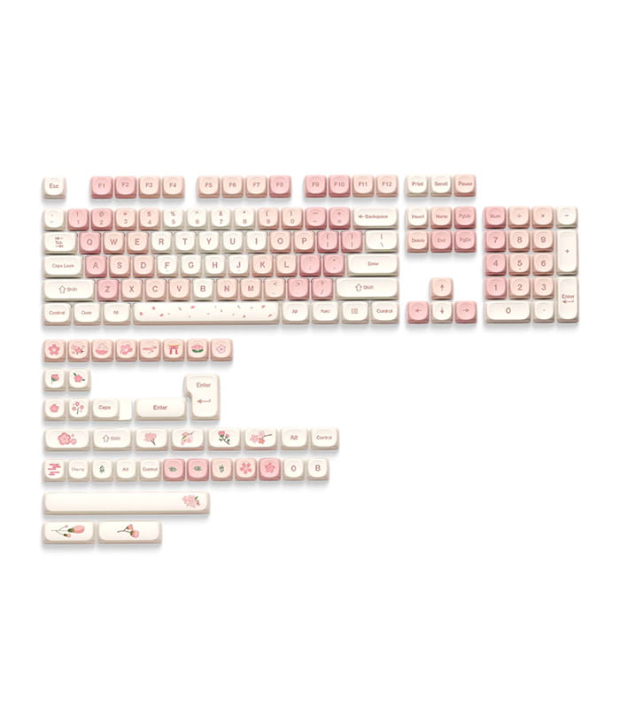 xvx-sakura.jpeg XVX Sakura - Image 1