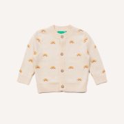 Small Rainbow Jumper