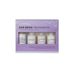 Hair Repair Treatment Kit