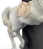 Horse on Courbette - Image 4