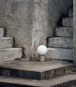 Bela - Image 3
