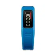 Garmin Vivofit