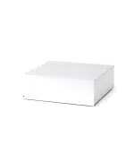 Pro-Ject Amp Box DS2