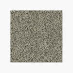 Modest Textured Carpet