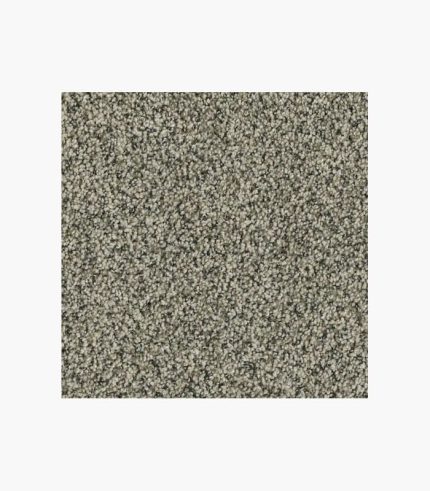 Modest Textured Carpet
