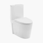 One-Piece Toilet