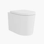 Toilet with Soft Close Seat