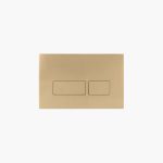 Brushed Brass Dual Flush Plate