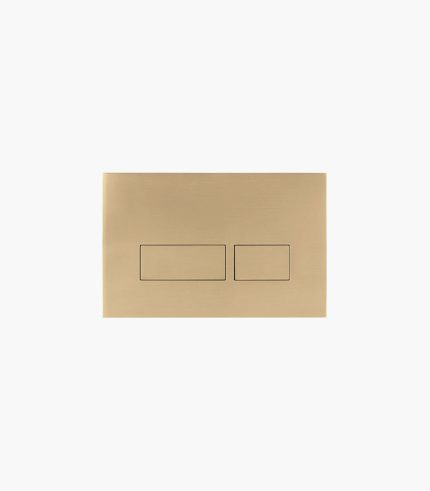 Brushed Brass Dual Flush Plate