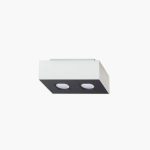 2 White Spotlight