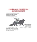Royal Canin Veterinary Diet Diabetic - Image 4