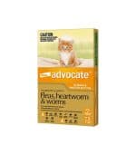 Advocate Orange For Small Cat - Image 2