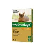 Advantage Small Cat Flea Pipette - Image 2