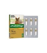Advantage Small Cat Flea Pipette - Image 3
