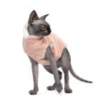 CFashion Cotton Sphynx Cat Clothes