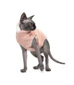 CFashion Cotton Sphynx Cat Clothes