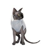 CFashion Cotton Sphynx Cat Clothes - Image 2