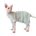 Sphynx Town Stripe Onesie Pajama