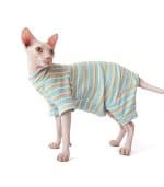 Sphynx Town Stripe Onesie Pajama